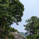 보현 태양광발전소 이미지