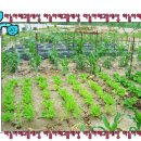 서연자원 이미지
