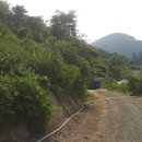 번성농장 이미지