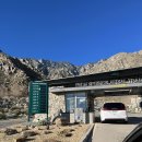 팜스프링 이미지