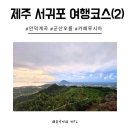 제주가마오름 일제동굴진지 | 제주한달살기9 서귀포 여행 코스 안덕계곡 군산 오름 카페루시아 아기와 가볼만한 곳