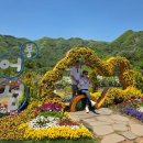 붕어섬 식당 이미지