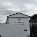 행복목장 | 서귀포성산일출봉 목장카페 밭디 방문 후기 말과 함께하는 행복한 시간 🐴💖