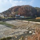 더청정한(The청정한)