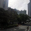 푸른공인번역행정사 네이버블로그