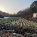 상부농장 이미지