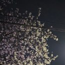 뉴그린모텔 이미지