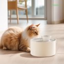 세라믹 | 5년차 집사의 고양이 강아지 정수기 추천! 파우시 세라믹 급수기 후기