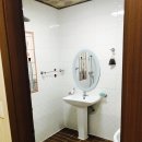 해뜨는 숲속 이미지