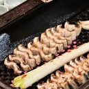 청정장어 이미지