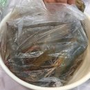 다퍼줘 | [동대문구] 청량리역 가성비 맛집 바다먹거리장터 다퍼줘 후기