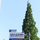 장유스포츠센터 건너편 이미지