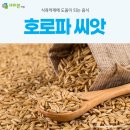 새이본의원 이미지