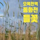 오목천역 3번출구 이미지
