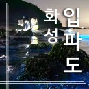 입파민박 | 현충일에 입파도 1박2일 후기 - 바다의 반딧불이 같은 생물발광/야광충들 보니 정말 신기했어요~
