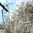 무안북중학교 이미지