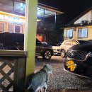 에코피아펜션 이미지