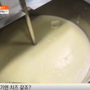 갑부목장 이미지