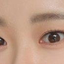 트리샤히얼