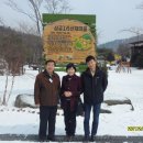 산채마을 Daum카페