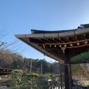 피다(Pida) 이미지