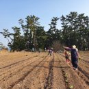 상읍농장 이미지