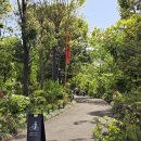 호텔 Note(노트) | 여행] 혼자 또 도쿄여행 (6) &lt;신궁 은행나무거리&gt;, 긴자 &lt;이토야 Itoya&gt;, &lt;블루노트 도쿄 BlueNote Tokyo&gt;