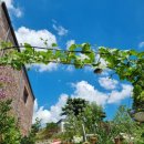 스테이 서종 이미지