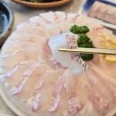 내가웰빙 | 포항 영일대 맛집 [웰빙 횟집] 2인 고급 모둠 회 바다뷰 맛집 후기 + 독도새우 맛집