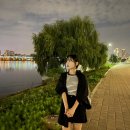 살아돌아온블로그