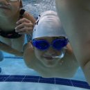 퍼스트스윔 울산점 이미지