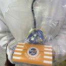 술나와라뚝딱 | 돌아온 동이일상