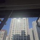 우미린에듀파크2단지경로당 | 실외기 비둘기 청소 후기 | 홈키XX 비둘기퇴치...청주 우미린에듀파크 2단지 비둘기 극혐 내돈내산