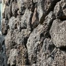 옹포소녀 이미지