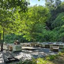 사자벌농장 이미지