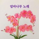 원제슈퍼마켓