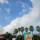 미소짓는운동화양학점 | 제주 서귀포 가볼만한 곳 추천 '파더스가든' 아이와 함께 감귤체험, 동물체험, 사진찍기좋은곳