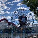 정훈카 엔지니어 샵 | 트립 day8: LA 애너하임 디즈니랜드 오픈런 안한 후기 Ft.오픈런 꼭 하세요, 라이즈오브레지스탕스...