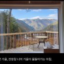 서나와할아버지통나무집 이미지
