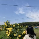 황가네호떡서산 | [태안, 안면도] 태안 1박2일 봄여행, 딴뚝통나무집식당 게국지,꽃지카트장 ATV, 트레블브레이크커피...
