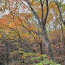 제눈에안경 이미지