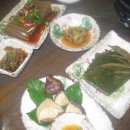 점봉산 산채 이미지