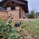 읍내로6길 이미지