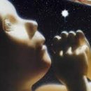 C.스페이스 이미지