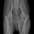 검단이담동물의료센터 이미지