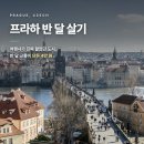 프라하 반달살기 12박14일 실거주 정보 총정리 — 숙소·교통권 본전·마트·생활비 (2026년 기준)
