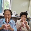 효심 농장 이미지