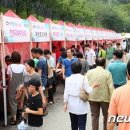 광명동굴 (라스코전시관) 이미지