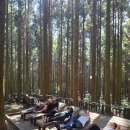 (주)제주파랑새관광여행사 | 제주도 단체여행 편리했던 제주 쏠라티 렌트 이용후기