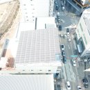 우일태양광발전소 이미지